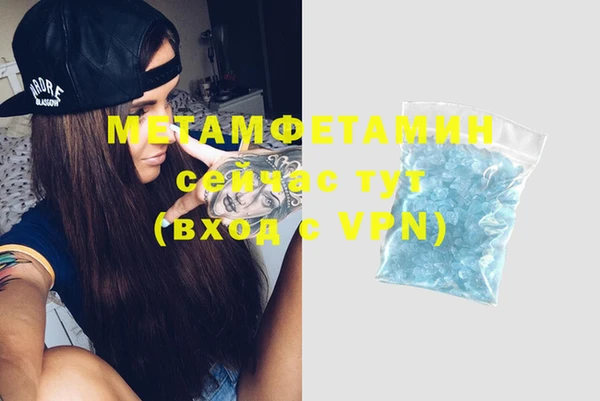 ПСИЛОЦИБИНОВЫЕ ГРИБЫ Новозыбков