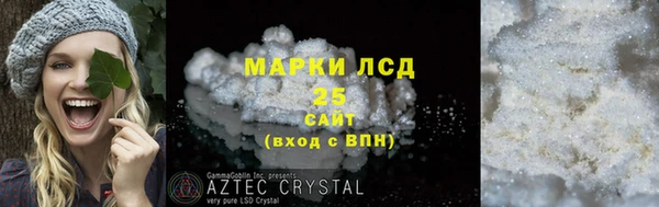 ПСИЛОЦИБИНОВЫЕ ГРИБЫ Новозыбков