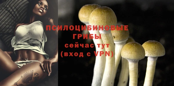 мескалин Нефтекумск