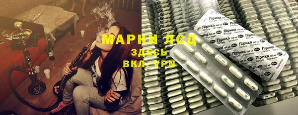 ПСИЛОЦИБИНОВЫЕ ГРИБЫ Новозыбков