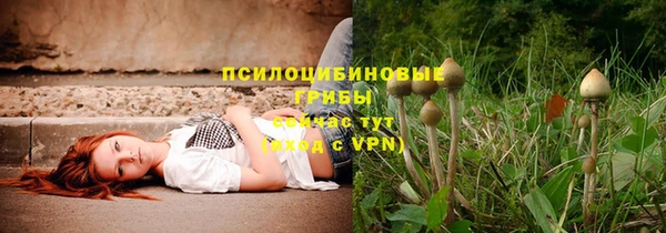 а пвп мука Нея