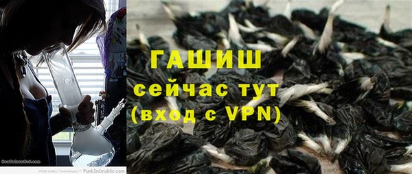 ПСИЛОЦИБИНОВЫЕ ГРИБЫ Новозыбков