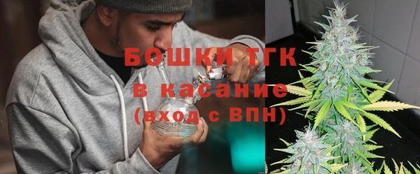 ПСИЛОЦИБИНОВЫЕ ГРИБЫ Новозыбков