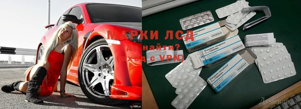 а пвп мука Нея